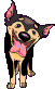 Cane1.jpg