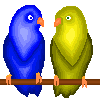 Uccello1.jpg
